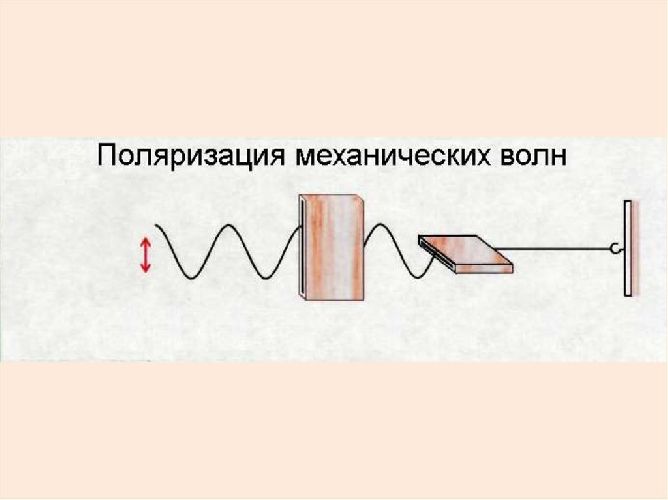 Поляризация света