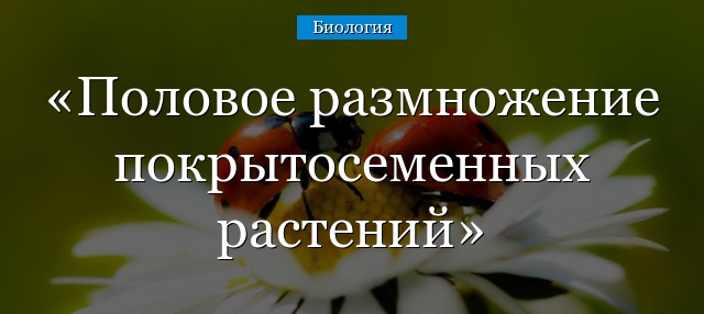 Половое размножение покрытосеменных растений