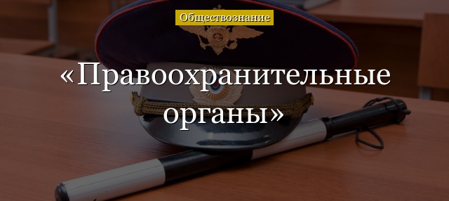 Правоохранительные органы