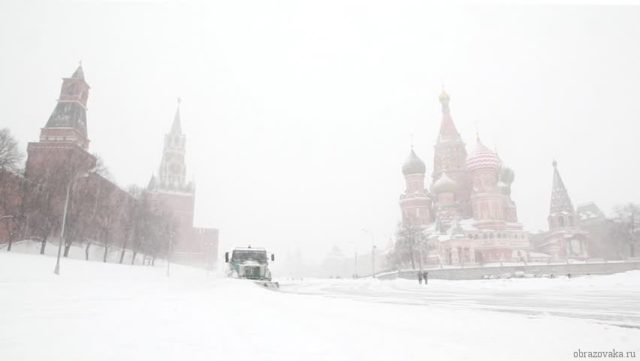 Природная зона Москвы