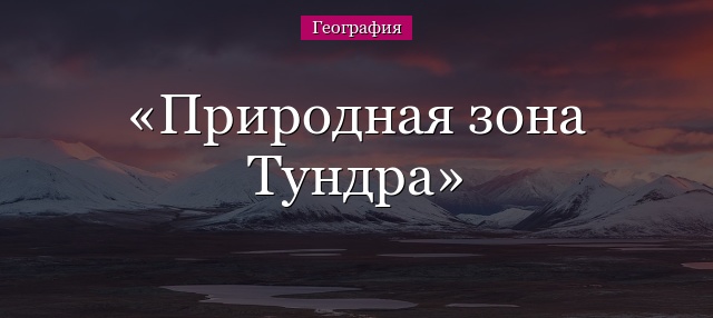 Природная зона Тундра