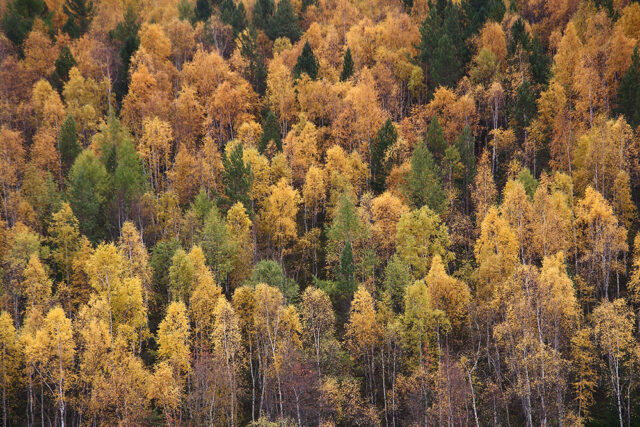 Природные комплексы