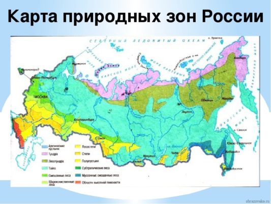 Природные зоны России