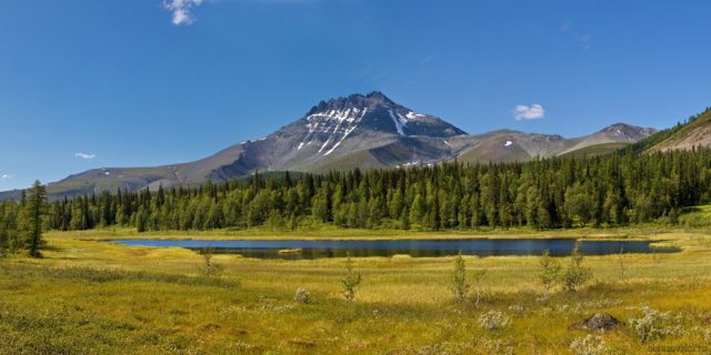 Природные зоны России с Севера на Юг