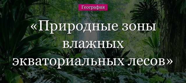 Природные зоны влажных экваториальных лесов