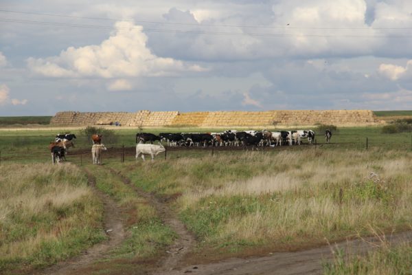 Природные зоны Западной Сибири