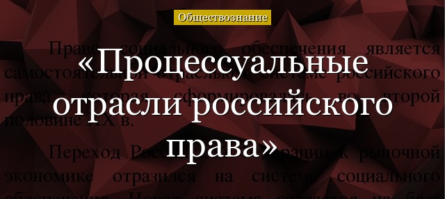 Процессуальные отрасли российского права