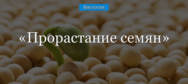 Прорастание семян