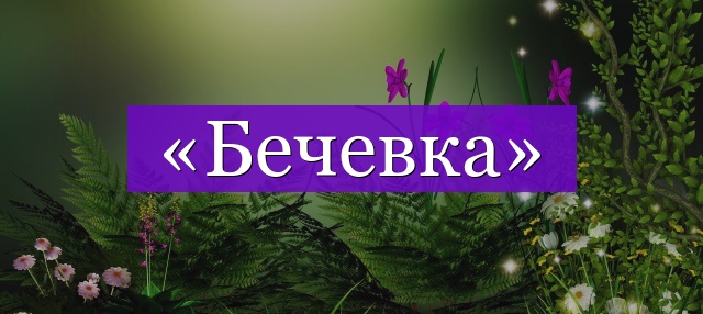 Проверочное слово к слову «бечевка»