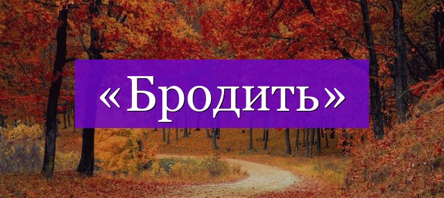 Проверочное слово к слову «бродить»