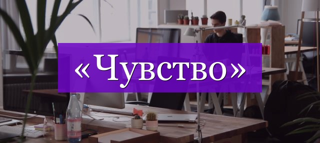 Проверочное слово к слову «чувство»