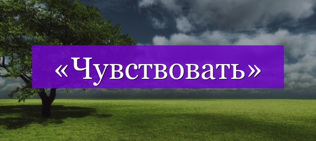 Проверочное слово к слову «чувствовать»