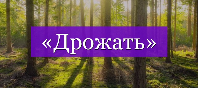 Проверочное слово к слову «дрожать»