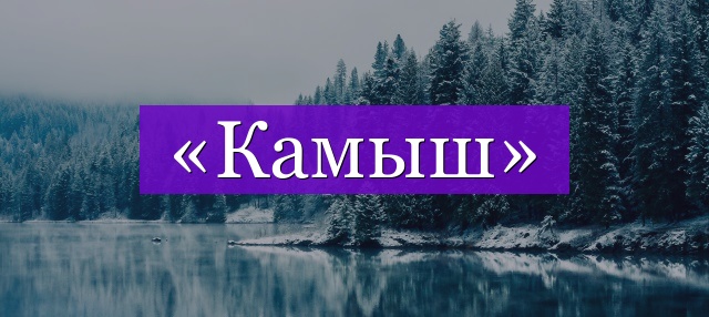 Проверочное слово к слову «камыш»