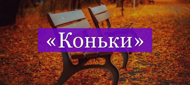 Проверочное слово к слову «коньки»