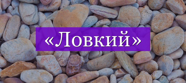 Проверочное слово к слову «ловкий»