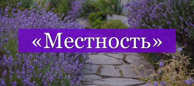 Проверочное слово к слову «местность»