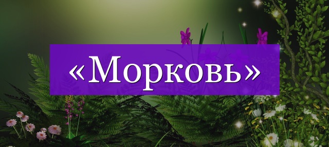 Проверочное слово к слову «морковь»