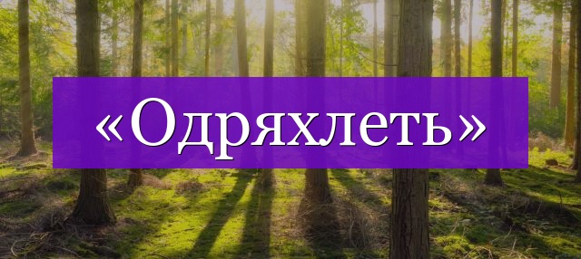 Проверочное слово к слову «одряхлеть»