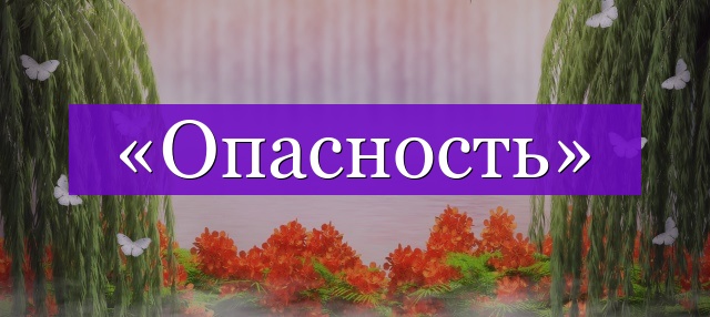 Проверочное слово к слову «опасность»