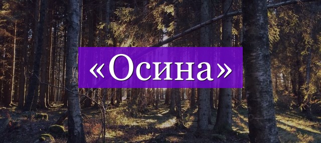 Проверочное слово к слову «осина»