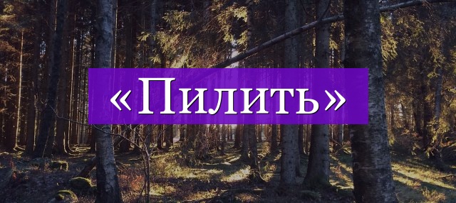 Проверочное слово к слову «пилить»