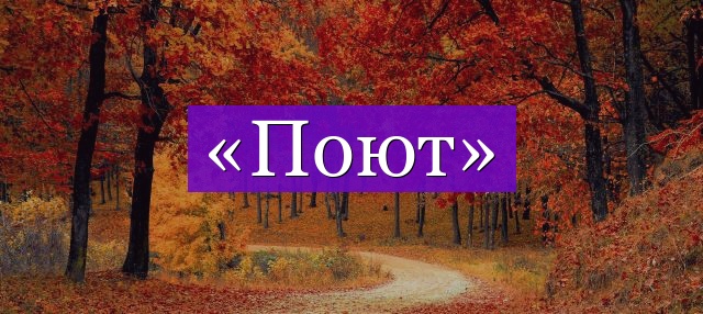 Проверочное слово к слову «поют»