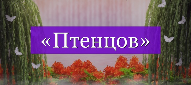 Проверочное слово к слову «птенцов»