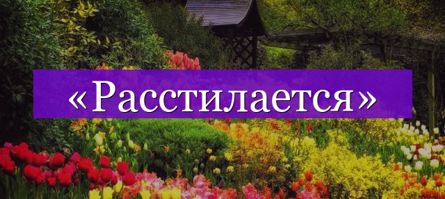 Проверочное слово к слову «расстилается»