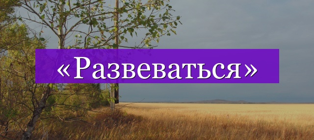 Проверочное слово к слову «развеваться»