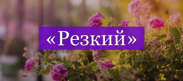 Проверочное слово к слову «резкий»