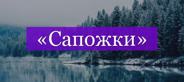 Проверочное слово к слову «сапожки»