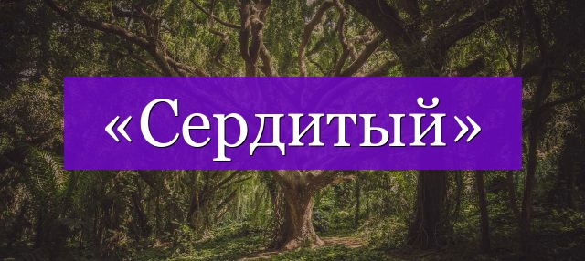 Проверочное слово к слову «сердитый»