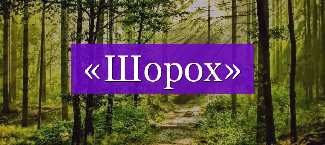 Проверочное слово к слову «шорох»