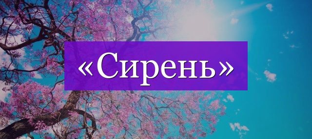 Проверочное слово к слову «сирень»