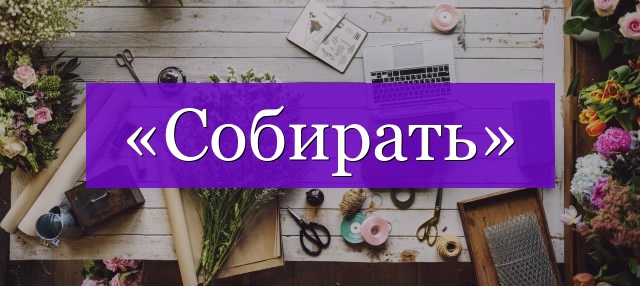 Проверочное слово к слову «собирать»