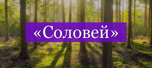 Проверочное слово к слову «соловей»