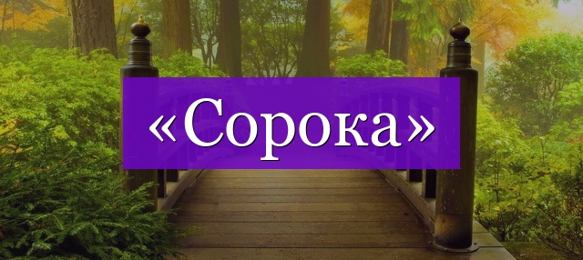 Проверочное слово к слову «сорока»