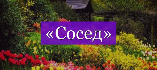 Проверочное слово к слову «сосед»