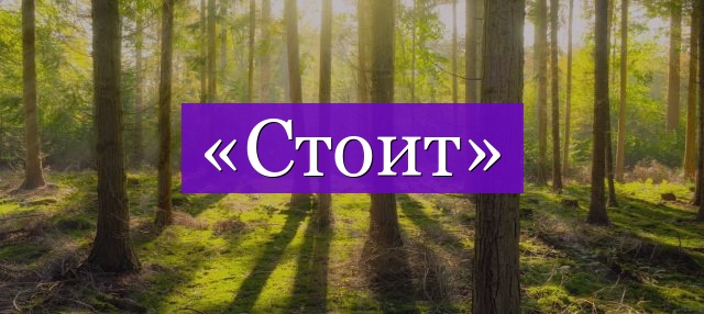 Проверочное слово к слову «стоит»