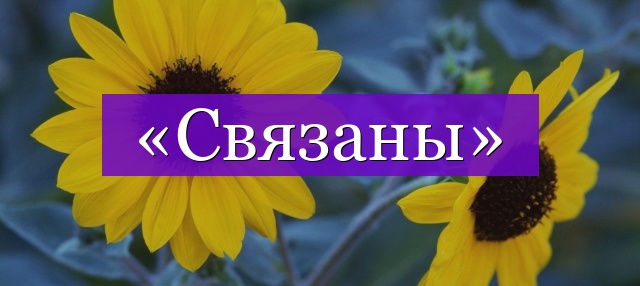 Проверочное слово к слову «связаны»