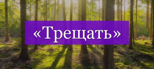 Проверочное слово к слову «трещать»