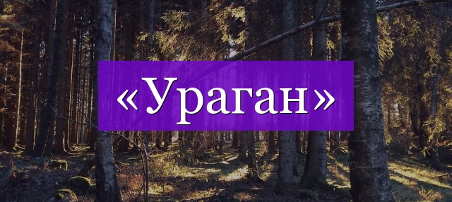 Проверочное слово к слову «ураган»