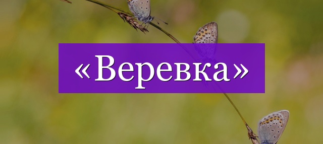 Проверочное слово к слову «веревка»