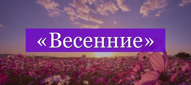 Проверочное слово к слову «весенние»