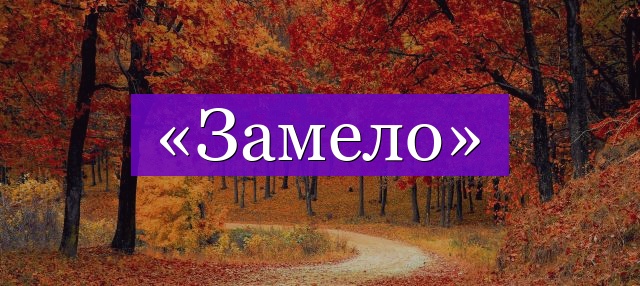 Проверочное слово к слову «замело»