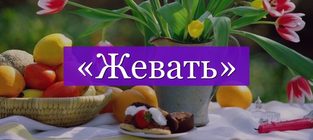 Проверочное слово к слову «жевать»