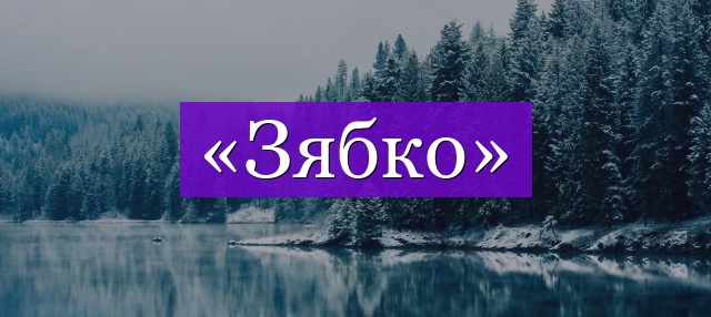 Проверочное слово к слову «зябко»