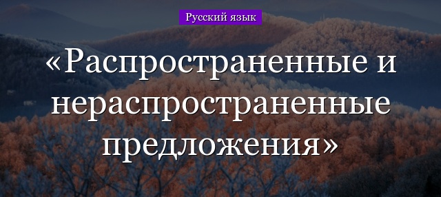 Распространенные и нераспространенные предложения