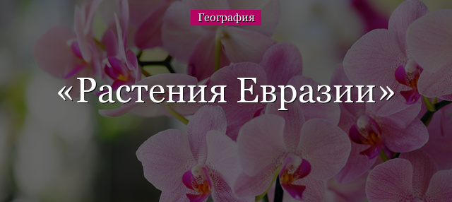 Растения Евразии